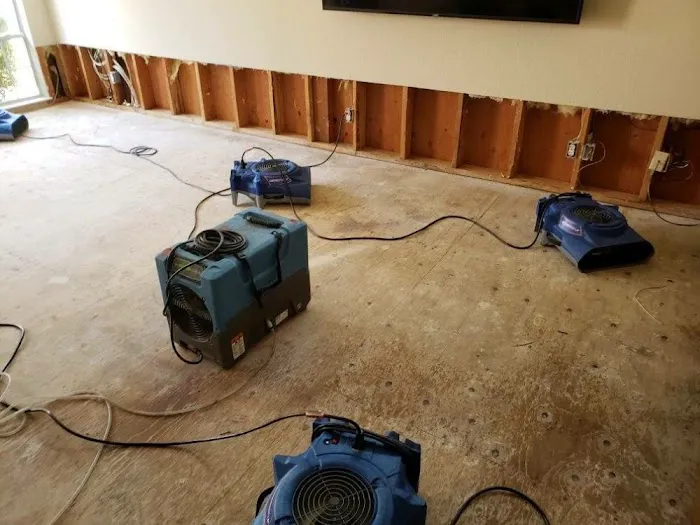 Travellers Picture 7