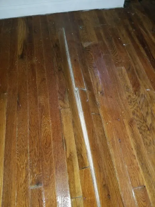 Travellers Picture 4