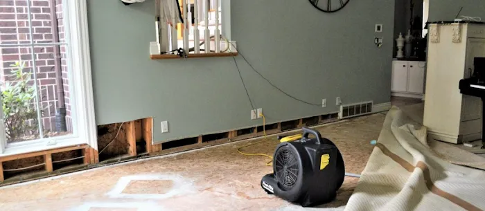 Travellers Picture 6