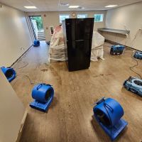 Hydro Shield Restoration ico