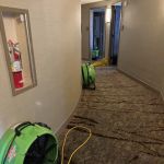 SERVPRO of Seattle NE