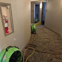 SERVPRO of Seattle NE ico