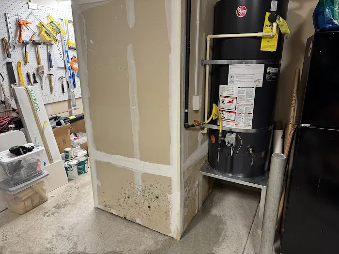 All Dry Services of Seattle Picture 9