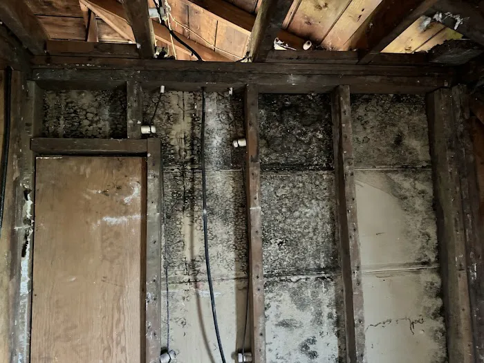 All Dry Services of Seattle Picture 5