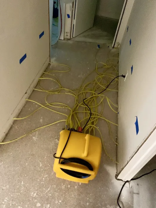 All Dry Services of Seattle Picture 1