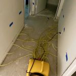 All Dry Services of Seattle