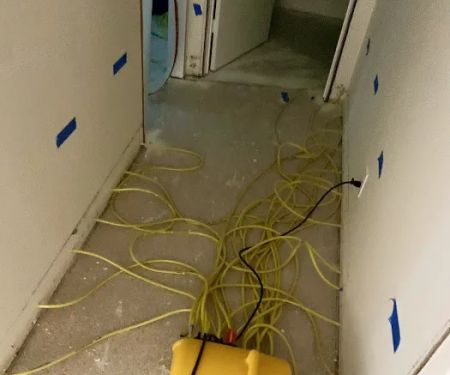 All Dry Services of Seattle