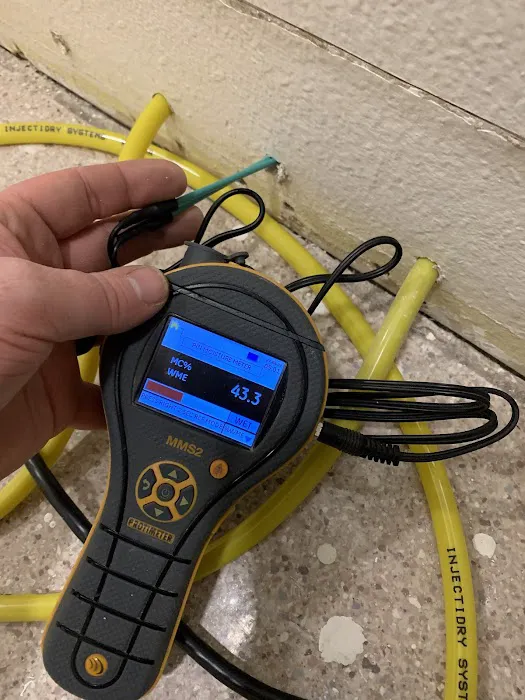 All Dry Services of Seattle Picture 7