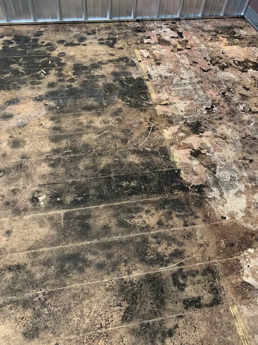 Tacoma Mold Removal Co. Picture 7