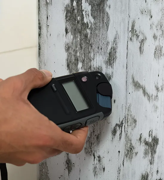 Tacoma Mold Removal Co. Picture 6