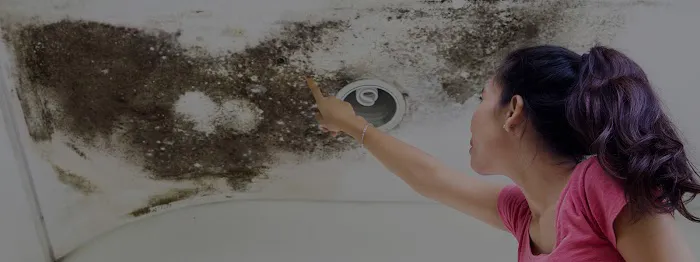 Tacoma Mold Removal Co. Picture 4