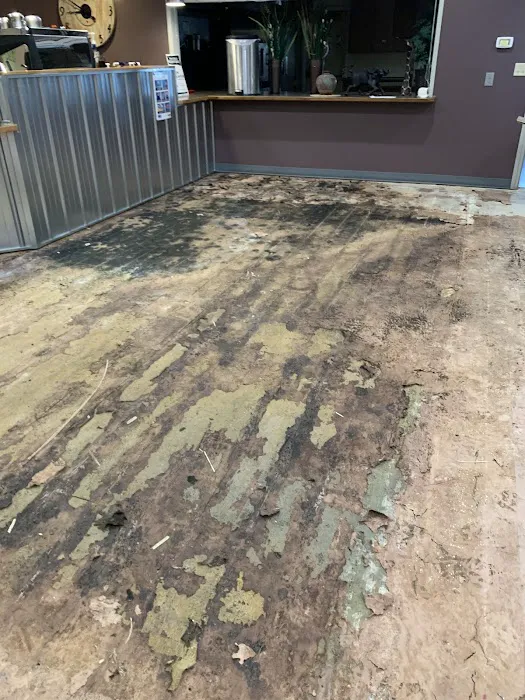 Tacoma Mold Removal Co. Picture 10