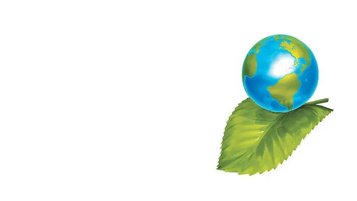 Clean Green Picture 4