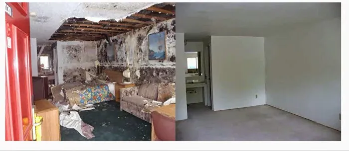 Clean Green Picture 6