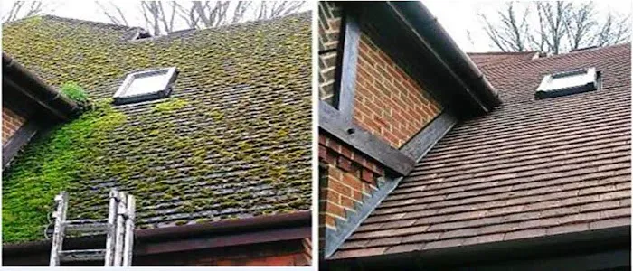 Clean Green Picture 3