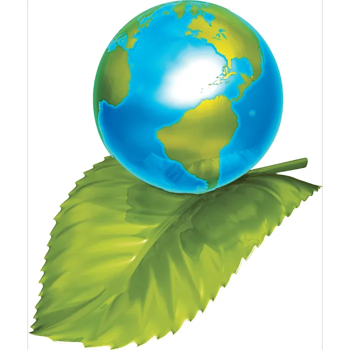 Clean Green Picture 7