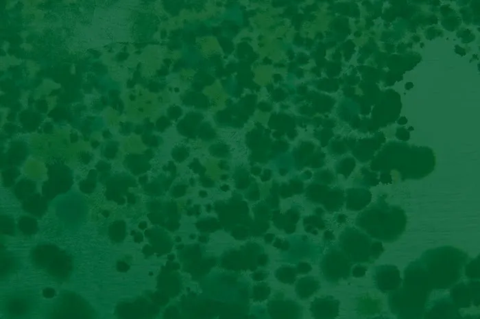 Northwest Emergency Services Picture 5