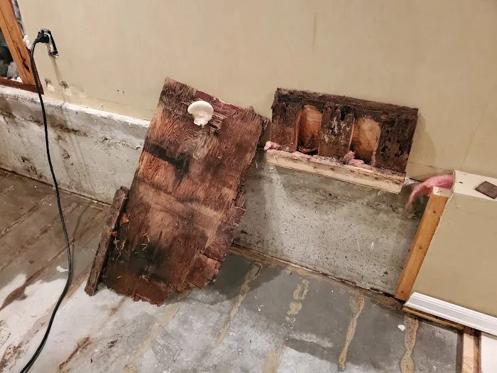 Service Pros & Asbestos Picture 4