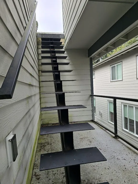 All New Again® Picture 9