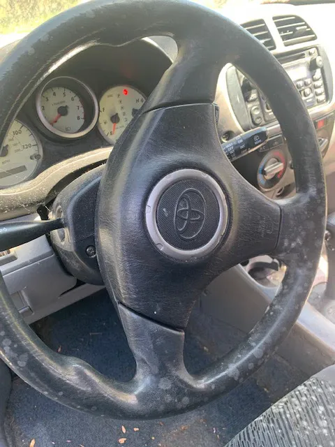 Renew Restoration Picture 8