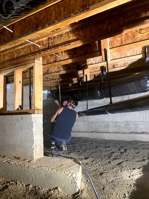 Renew Restoration Picture 9