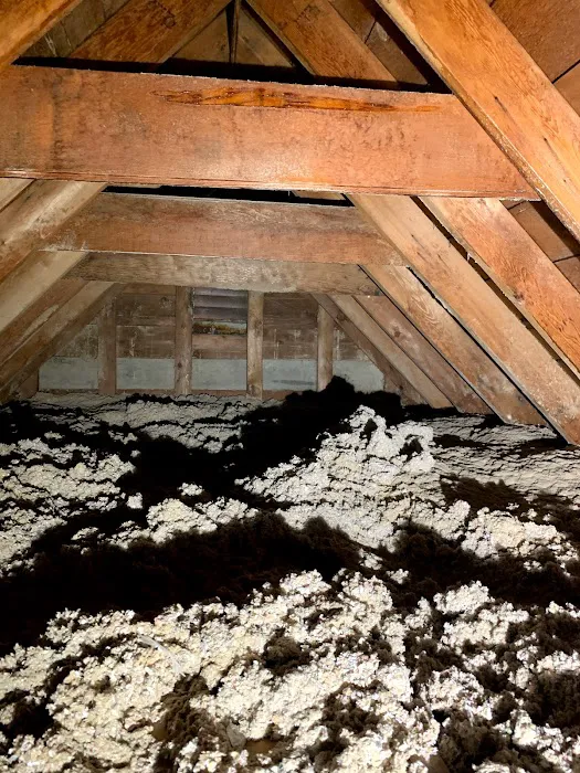 Renew Restoration Picture 4