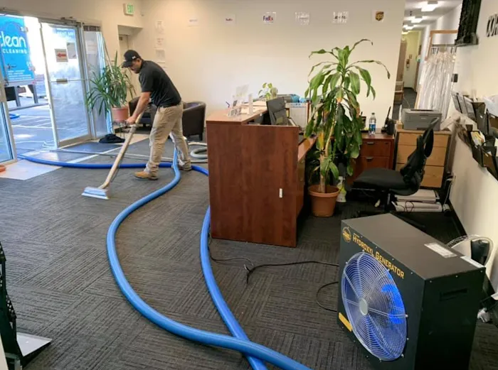 PureDry Restoration Picture 6