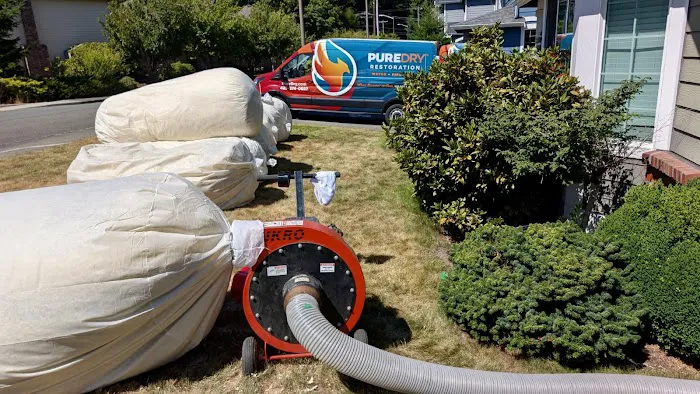 PureDry Restoration Picture 2