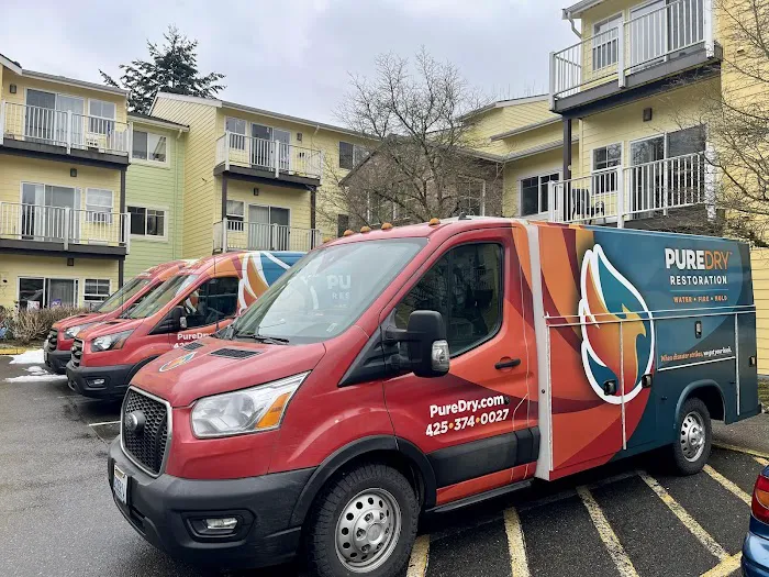 PureDry Restoration Picture 10