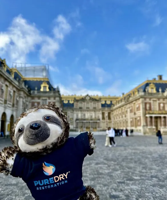 PureDry Restoration Picture 8