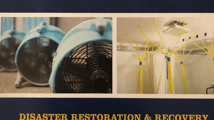 MD Restoration Seattle LLC Picture 3