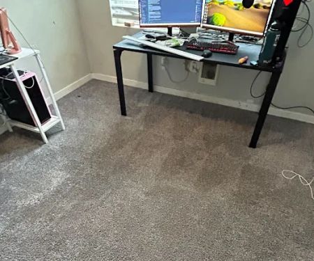 Five Star Chem-Dry Upholstery & Carpet Cleaning, Water Damage | Bothell