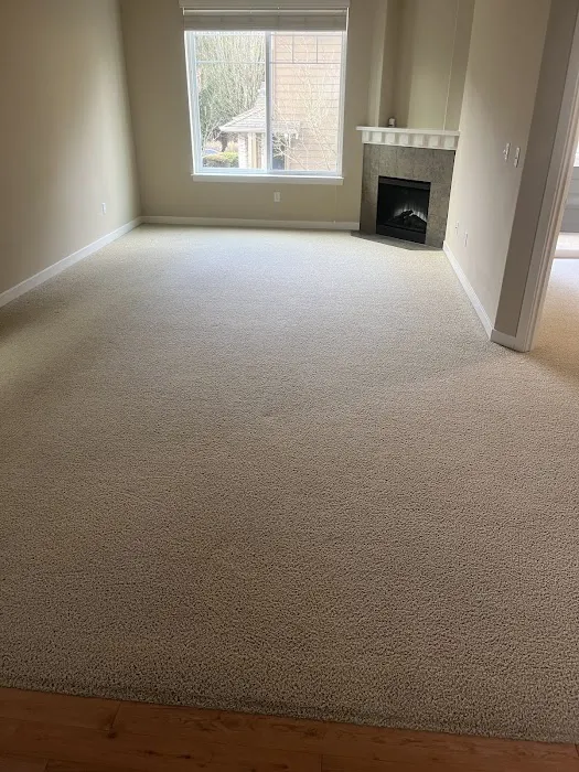 Five Star Chem-Dry Upholstery & Carpet Cleaning, Water Damage | Bothell Picture 6