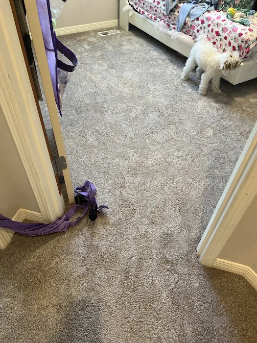 Stanley Steemer Picture 7