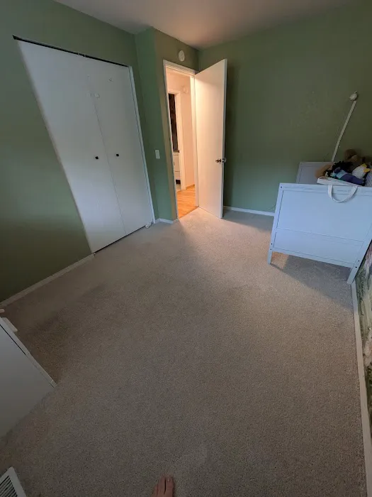 Stanley Steemer Picture 8