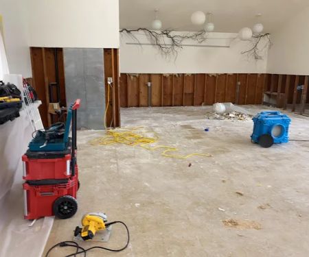 Damage Control Remediation