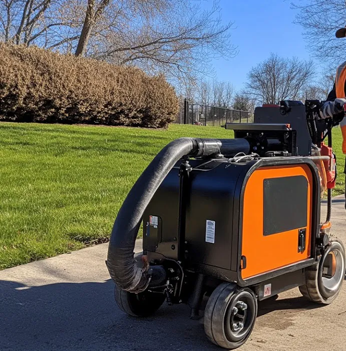 Mold Remediation And Restoration Everett Picture 9
