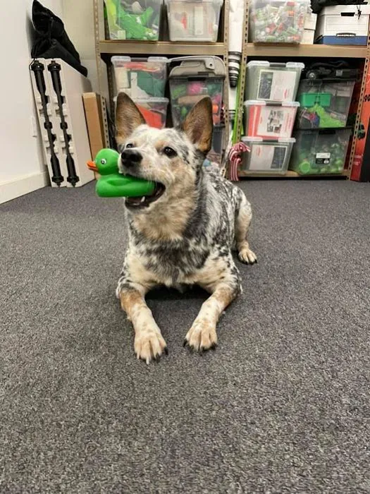 SERVPRO of Kitsap County Picture 1