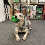 SERVPRO of Kitsap County