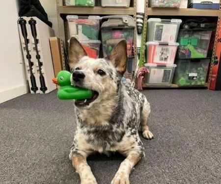 SERVPRO of Kitsap County