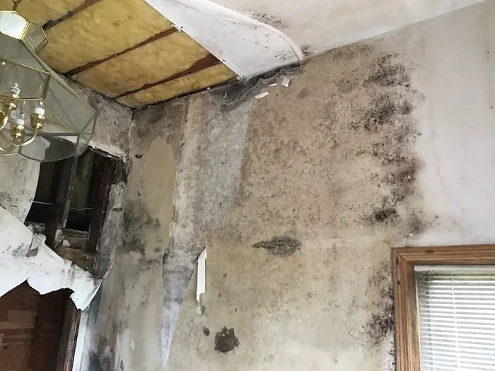 SERVPRO of Kitsap County Picture 9