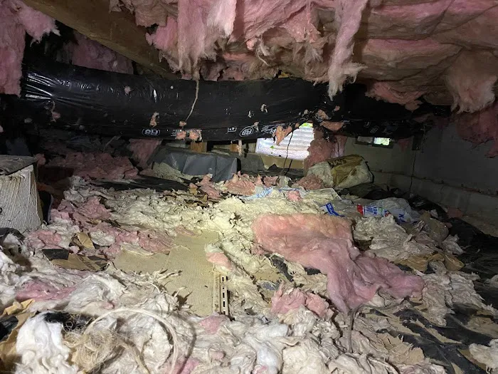 Northwest Crawl Space Services Picture 1