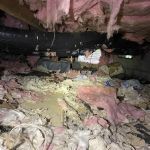 Northwest Crawl Space Services