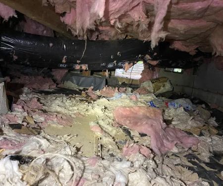 Northwest Crawl Space Services