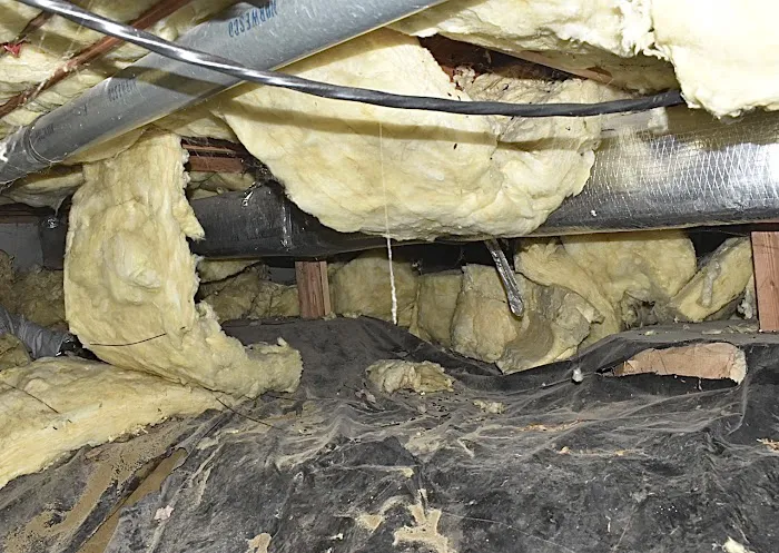 Northwest Crawl Space Services Picture 6