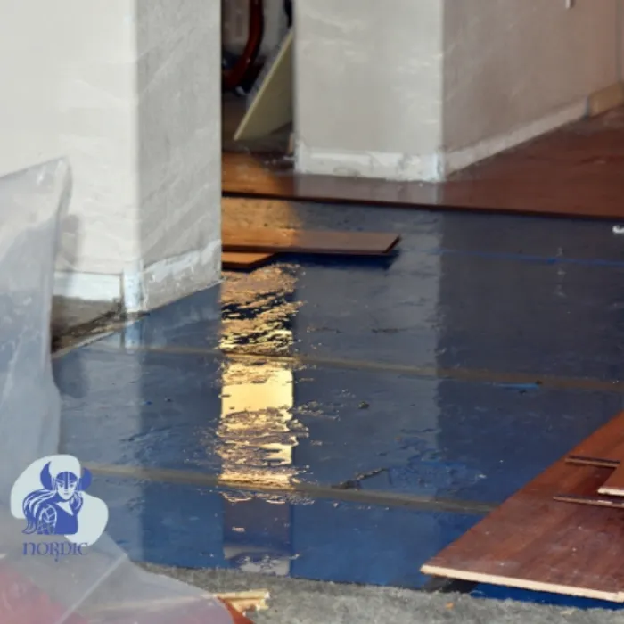 Nordic Properties and Insulation LLC Picture 1