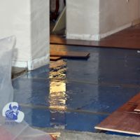 Nordic Properties and Insulation LLC ico