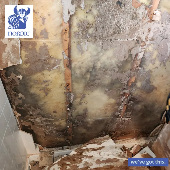 Nordic Properties and Insulation LLC Picture 8