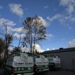 Green State Restoration of Everett