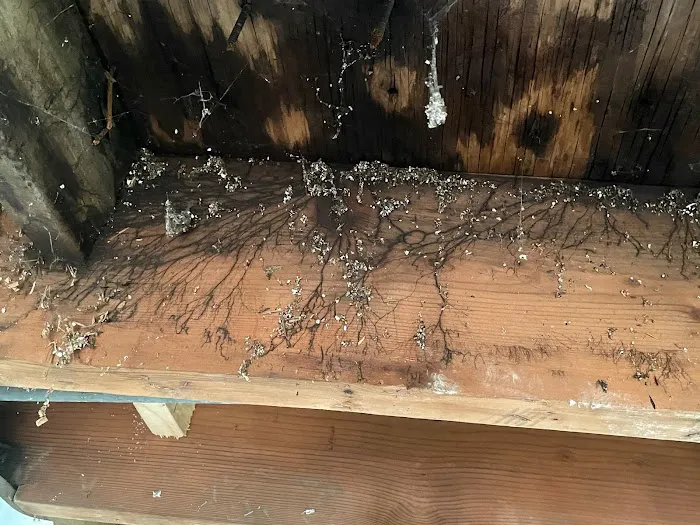 AdvantaClean of the Eastside Picture 2